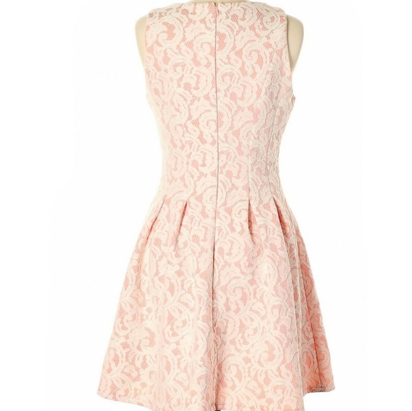 NWT Francesca's Miami Lace dress - Picture 5 of 8